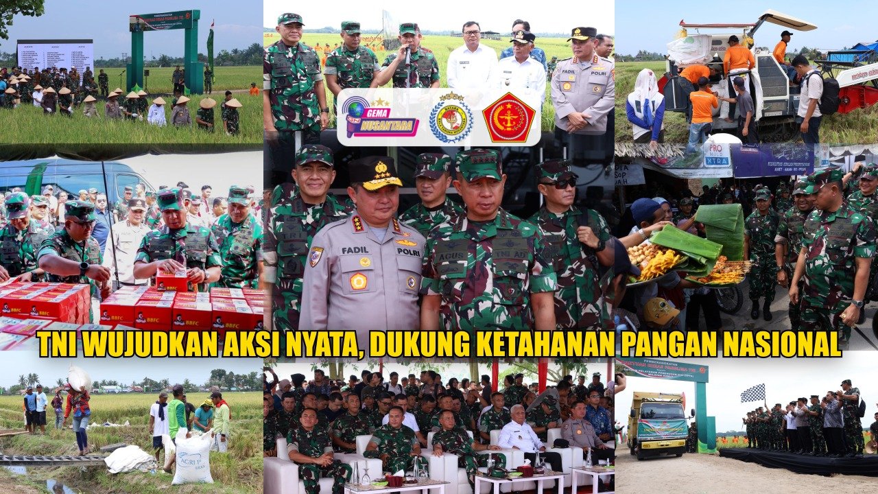 TNI Wujudkan Aksi Nyata, Dukung Ketahanan Pangan Nasional