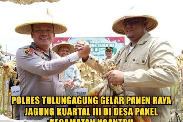 Polres Tulungagung Gelar Panen Raya Jagung Kuartal III di Desa Pakel Kecamatan Ngantru.