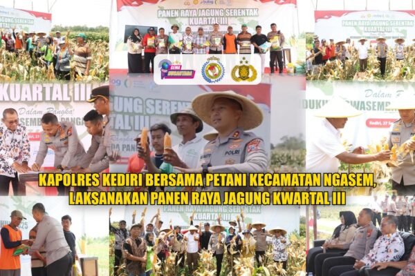Kapolres Kediri Bersama Petani Kecamatan Ngasem, Laksanakan Panen Raya Jagung Kwartal III