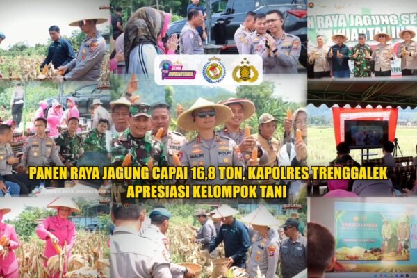 Panen Raya Jagung Capai 16,8 Ton, Kapolres Trenggalek Apresiasi Kelompok Tani