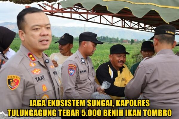 Jaga Ekosistem Sungai, Kapolres Tulungagung Tebar 5.000 Benih Ikan Tombro di Sungai Ngrowo Jaga Ekosistem Sungai, Kapolres Tulungagung Tebar 5.000 Benih Ikan Tombro di Sungai Ngrowo