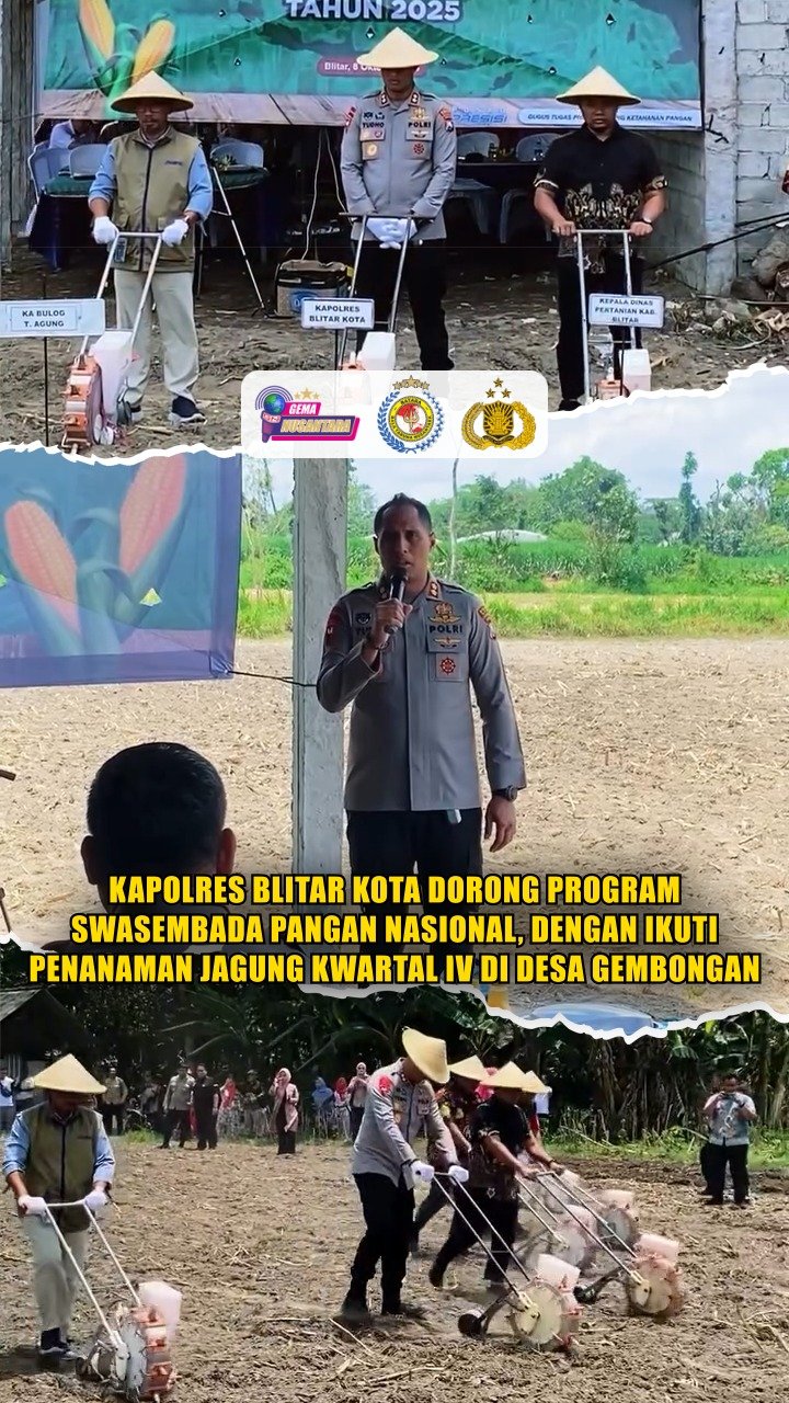 Kapolres Blitar Kota Dorong Program Swasembada Pangan Nasional, Dengan Ikuti Penanaman Jagung Kwartal IV di Desa Gembongan