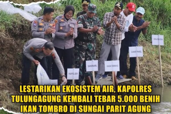 Lestarikan Ekosistem Air, Kapolres Tulungagung Kembali Tebar 5.000 Benih Ikan Tombro di Sungai Parit Agung Desa Gesikan. Lestarikan Ekosistem Air, Kapolres Tulungagung Kembali Tebar 5.000 Benih Ikan Tombro di Sungai Parit Agung Desa Gesikan.