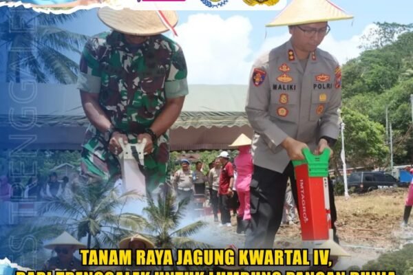 Tanam Raya Jagung Kwartal IV, dari Trenggalek untuk Lumbung Pangan Dunia Tanam Raya Jagung Kwartal IV, dari Trenggalek untuk Lumbung Pangan Dunia