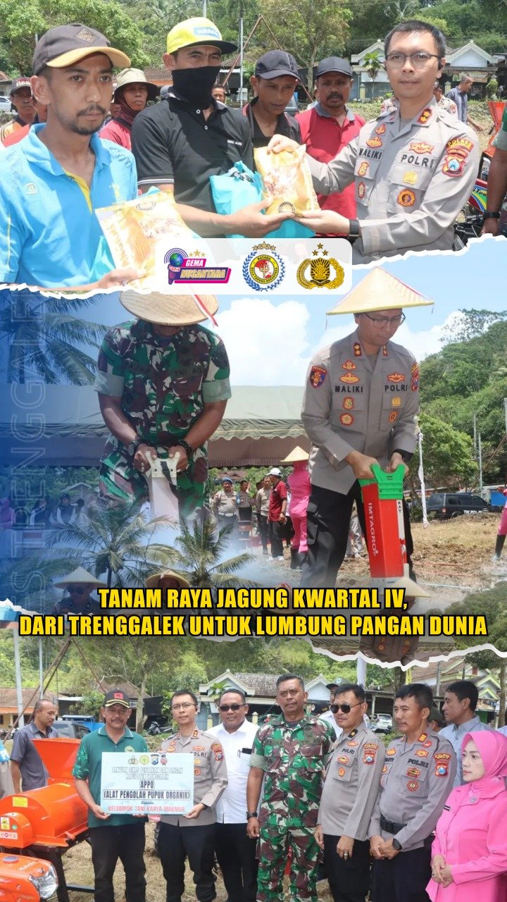 Tanam Raya Jagung Kwartal IV, dari Trenggalek untuk Lumbung Pangan Dunia