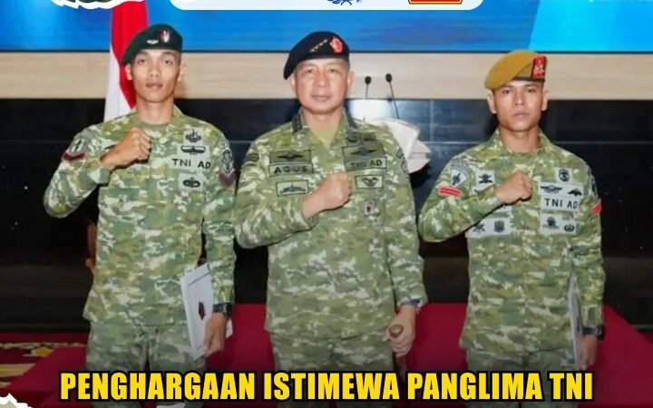 Penghargaan Istimewa Panglima TNI 2 Prajurit TNI Heroik
